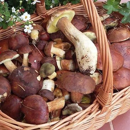 Agroturystyka Rebowo Klodawa  Eksteriør bilde